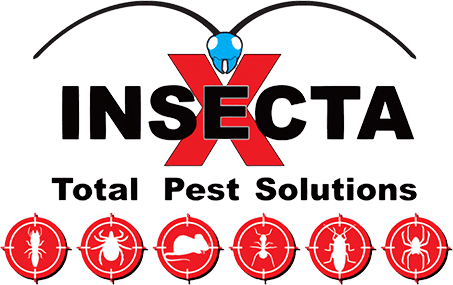 Insecta x Total Pest Solutions