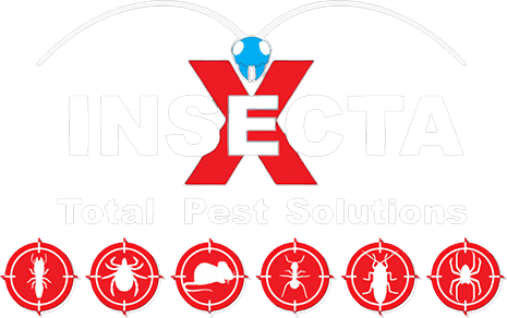 Insecta x Total Pest Solutions